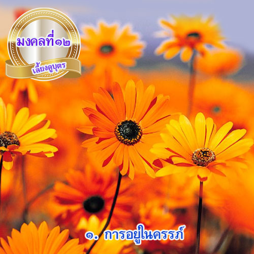 mongkol-life12.1.jpg