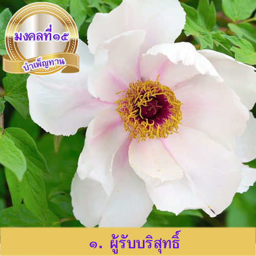 mongkol-life15.1.jpg