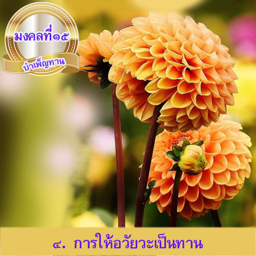 mongkol-life15.4.jpg