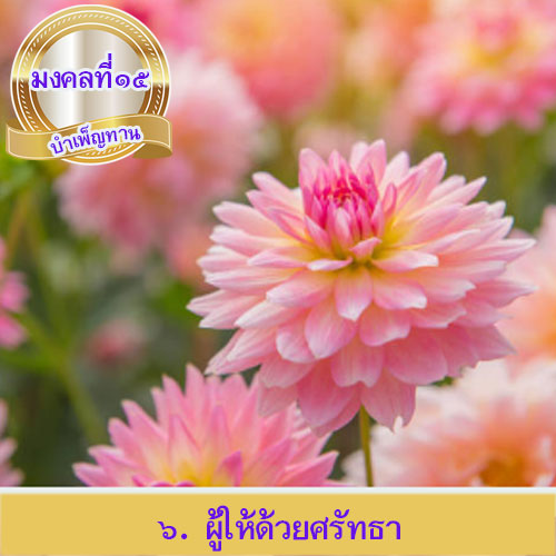 mongkol-life15.6.jpg