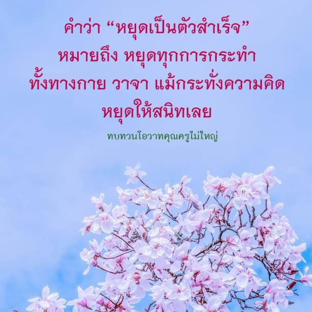 26-5-65-1-b.jpg