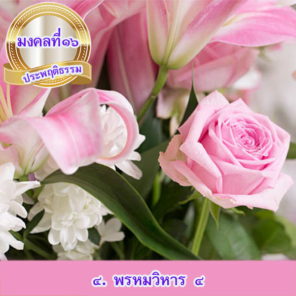 mongkol-life16.4.jpg