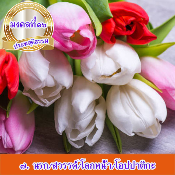 mongkol-life16.7.jpg