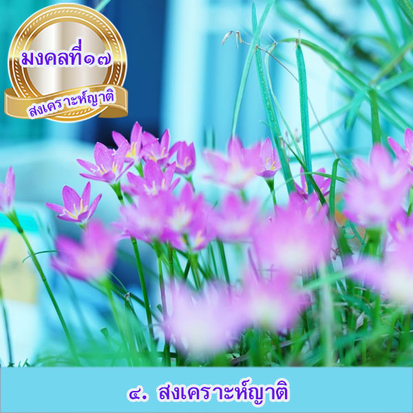 mongkol-life17.4.jpg