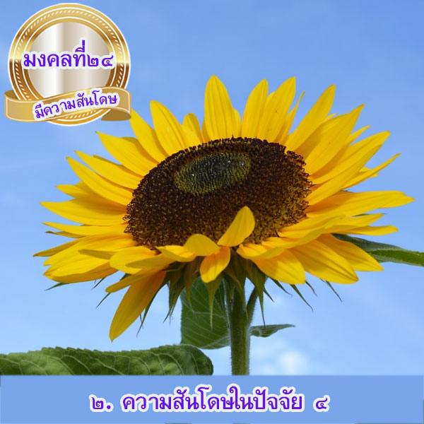 mongkol-life24.2.jpg