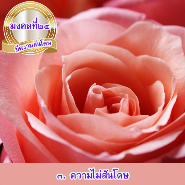 mongkol-life24.3.jpg