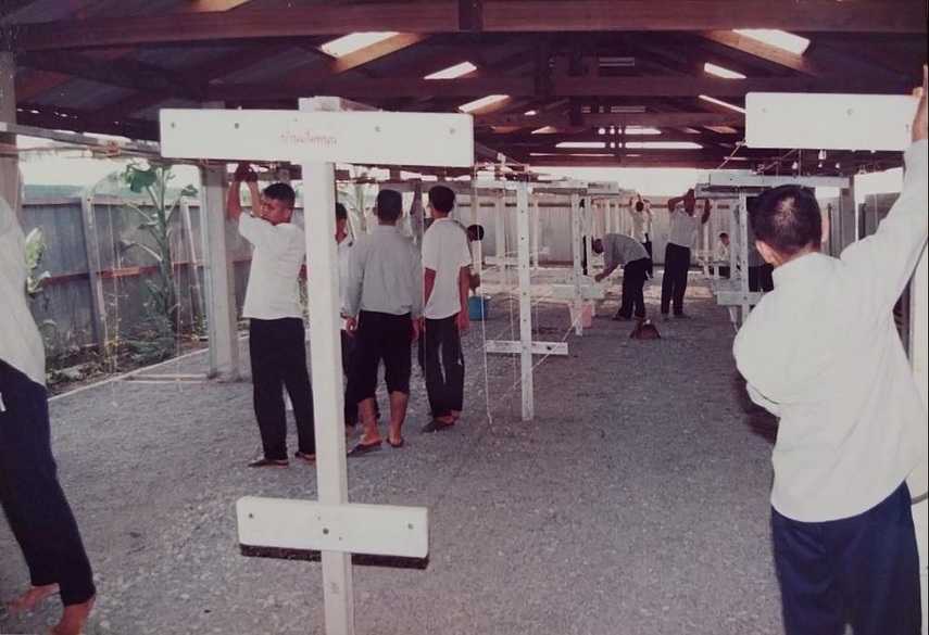 19-6-68-0011b.JPG