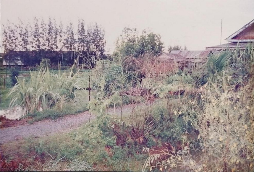 19-6-68-b14.JPG
