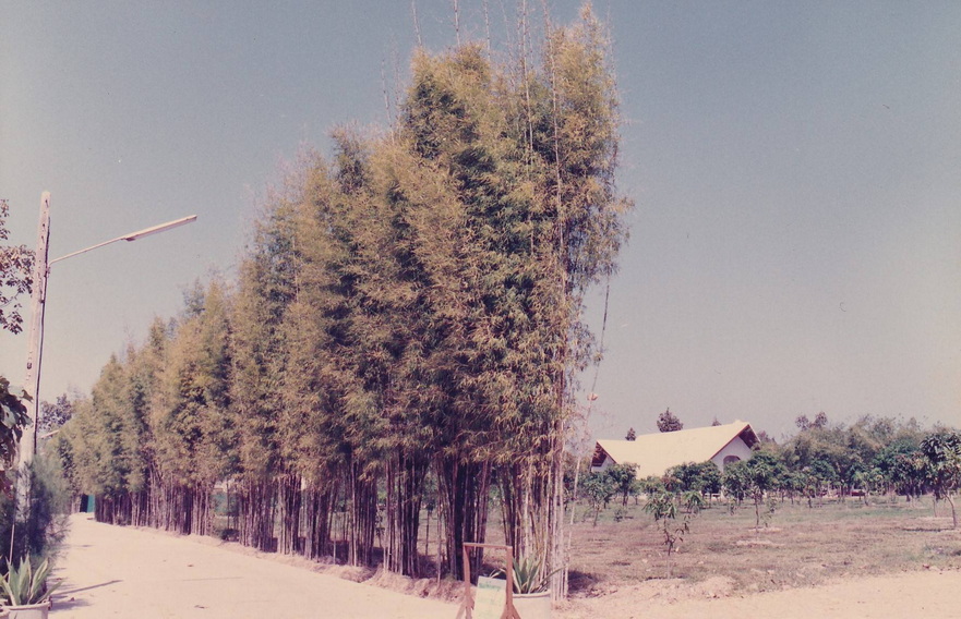 21-6-68-b12.JPG