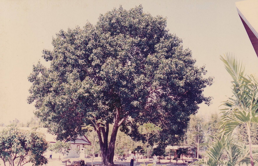 21-6-68-b14.JPG