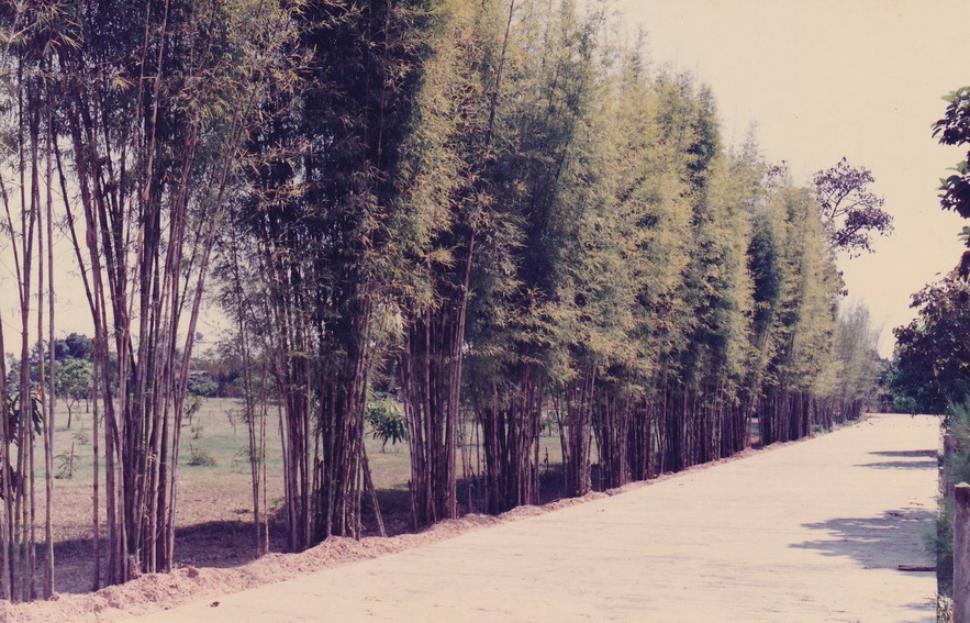 21-6-68-b16.JPG