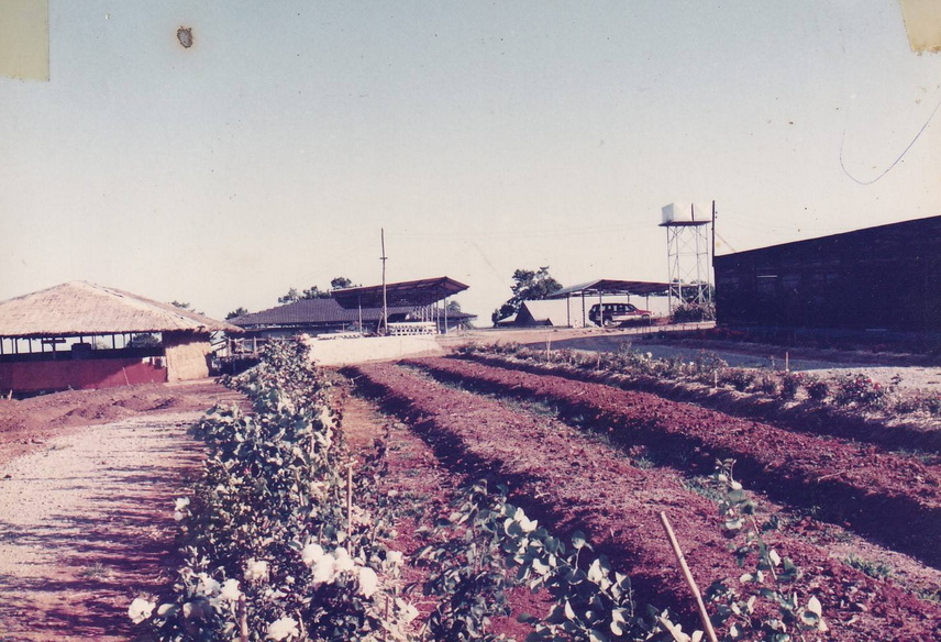 26-6-68-bb010.JPG