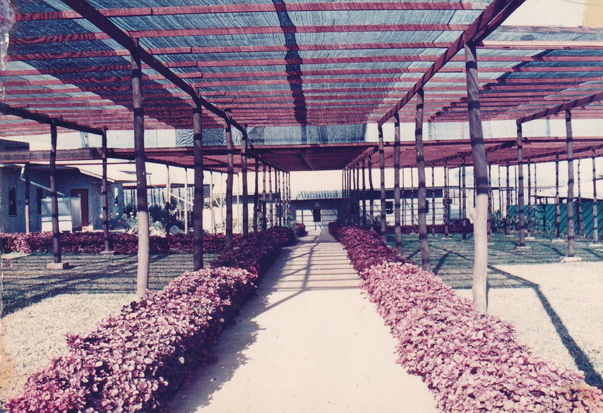 26-6-68-bb038.JPG