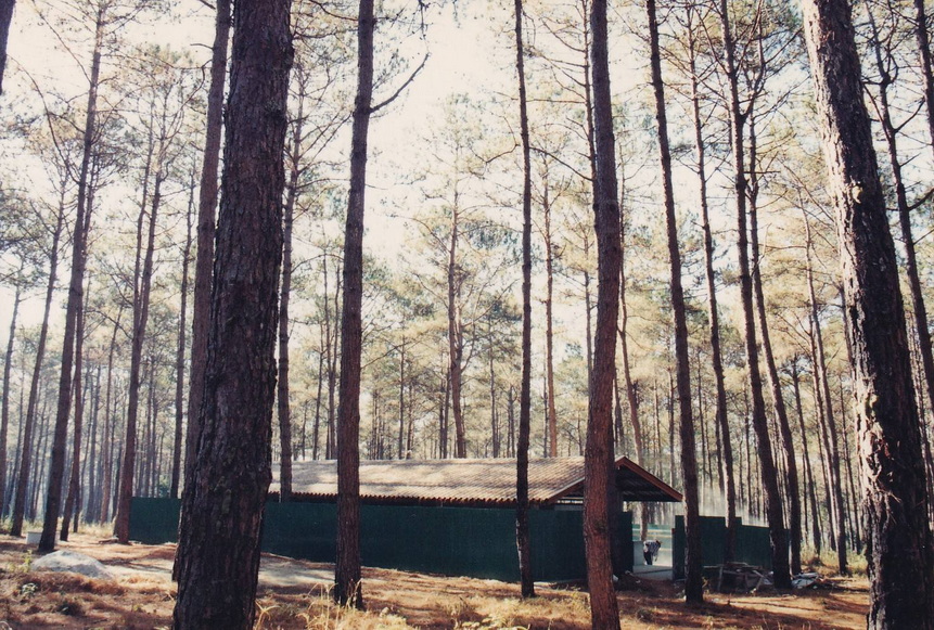 22-7-68-bb12.JPG