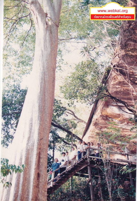 28-7-68-bbb03.JPG