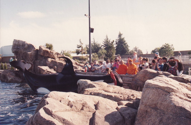 21-8-68-08-bb.JPG