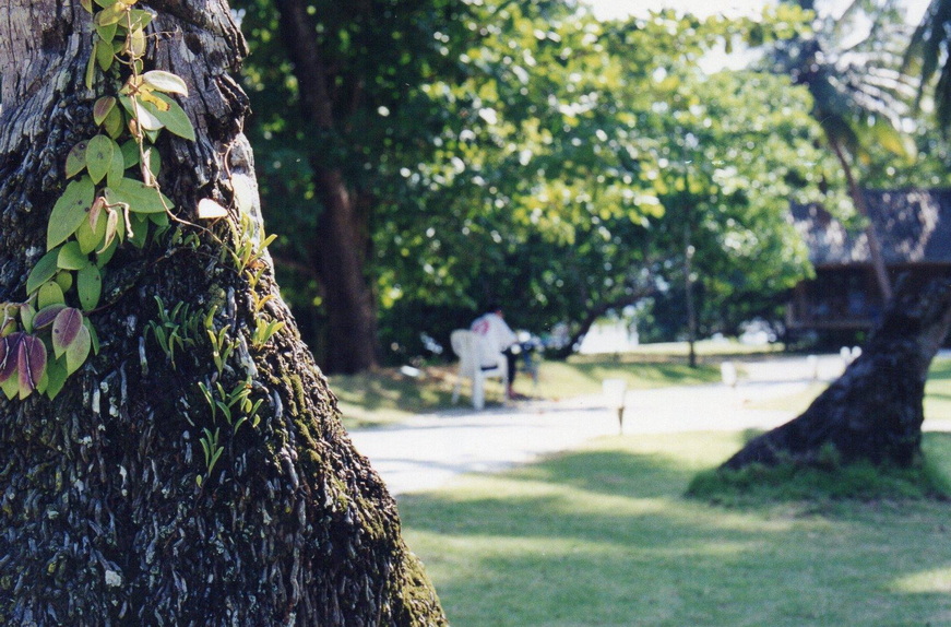 12-9-68-bb-057.JPG