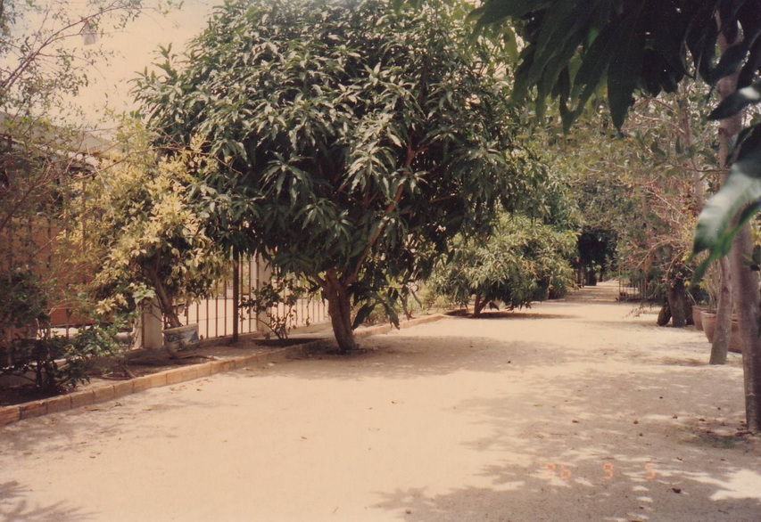 20-9-68--b-011.JPG