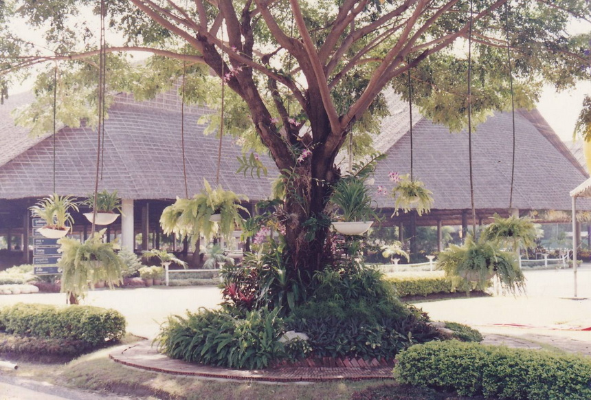 04-11-68--bbb-01.JPG