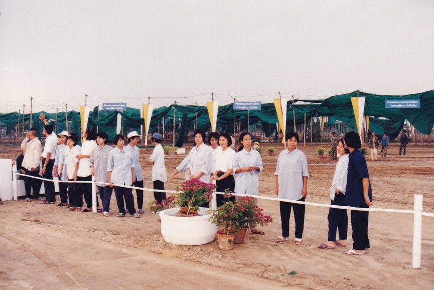 14-11-68--b-12.JPG
