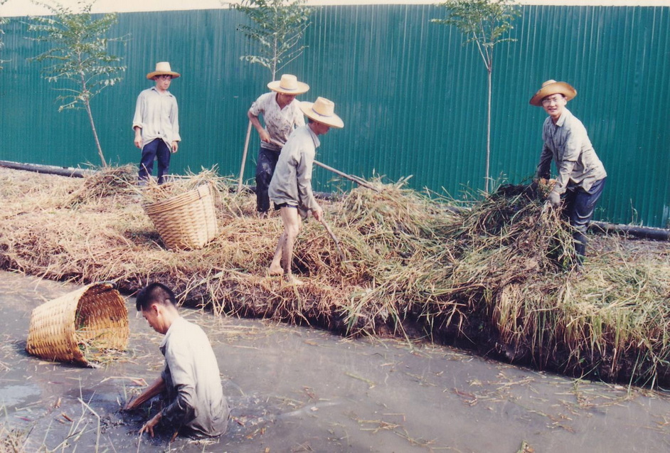 8-12-68--bbb-07.JPG