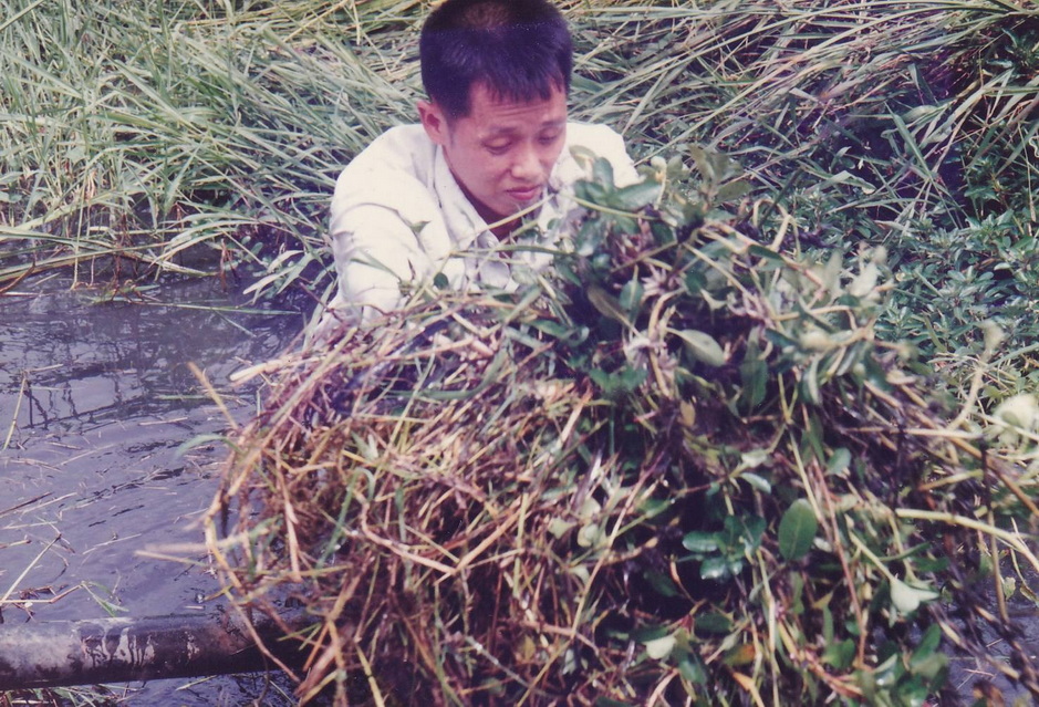 8-12-68--bbb-11.JPG