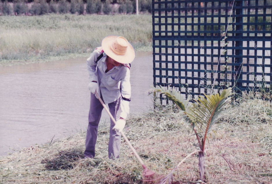 14-2-69--1-b-01.JPG