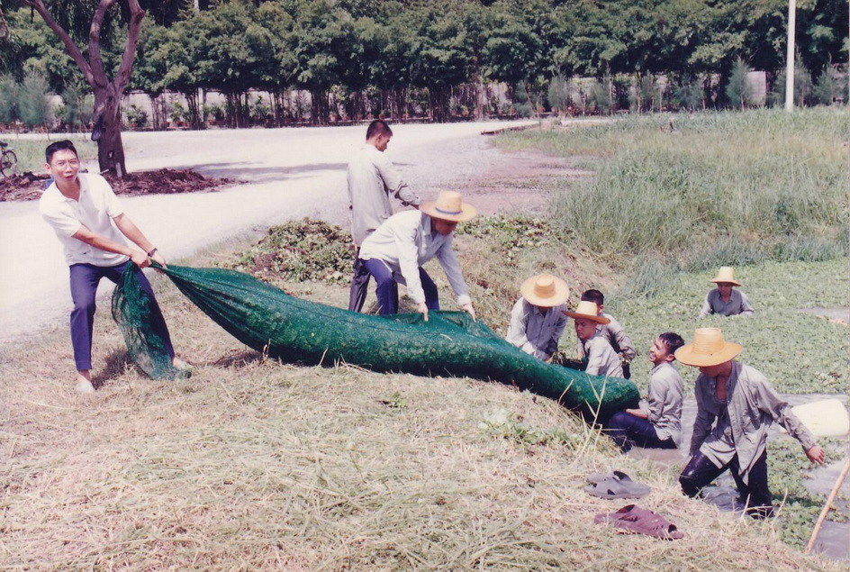 14-2-69--1-b-03.JPG