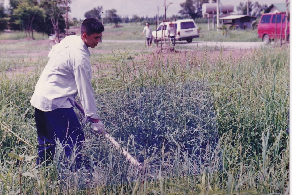 14-2-69--1-b-15.JPG