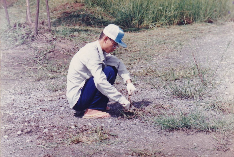 14-2-69--1-b-29.JPG