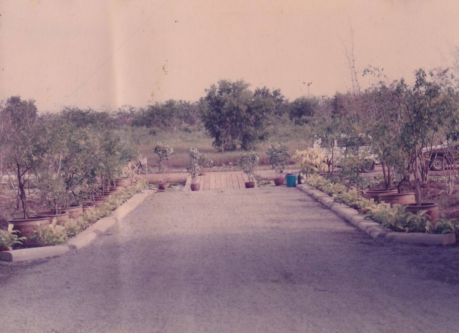 9-2-69--01-b-30.JPG
