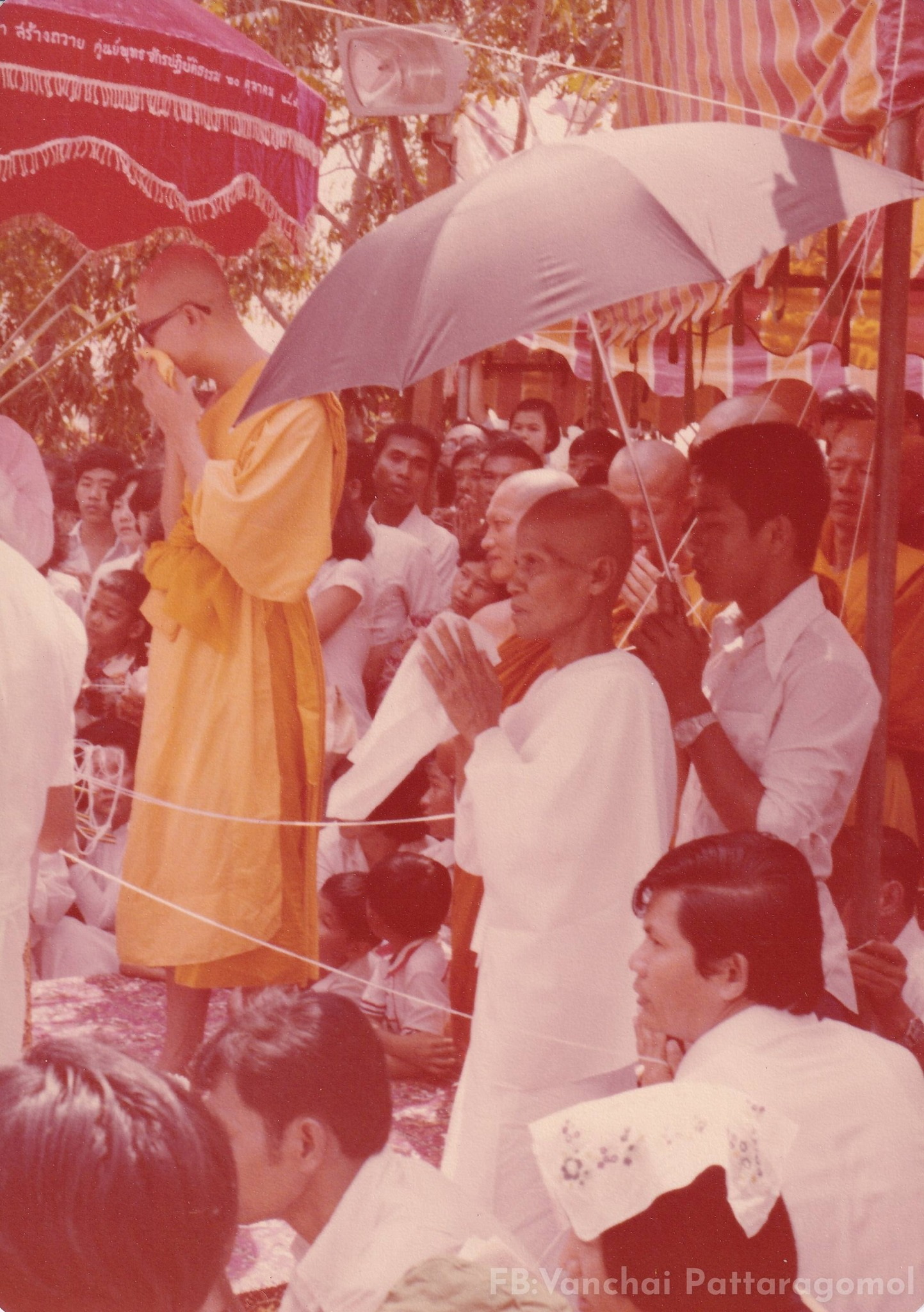 8-4-69--1-b-01.JPG
