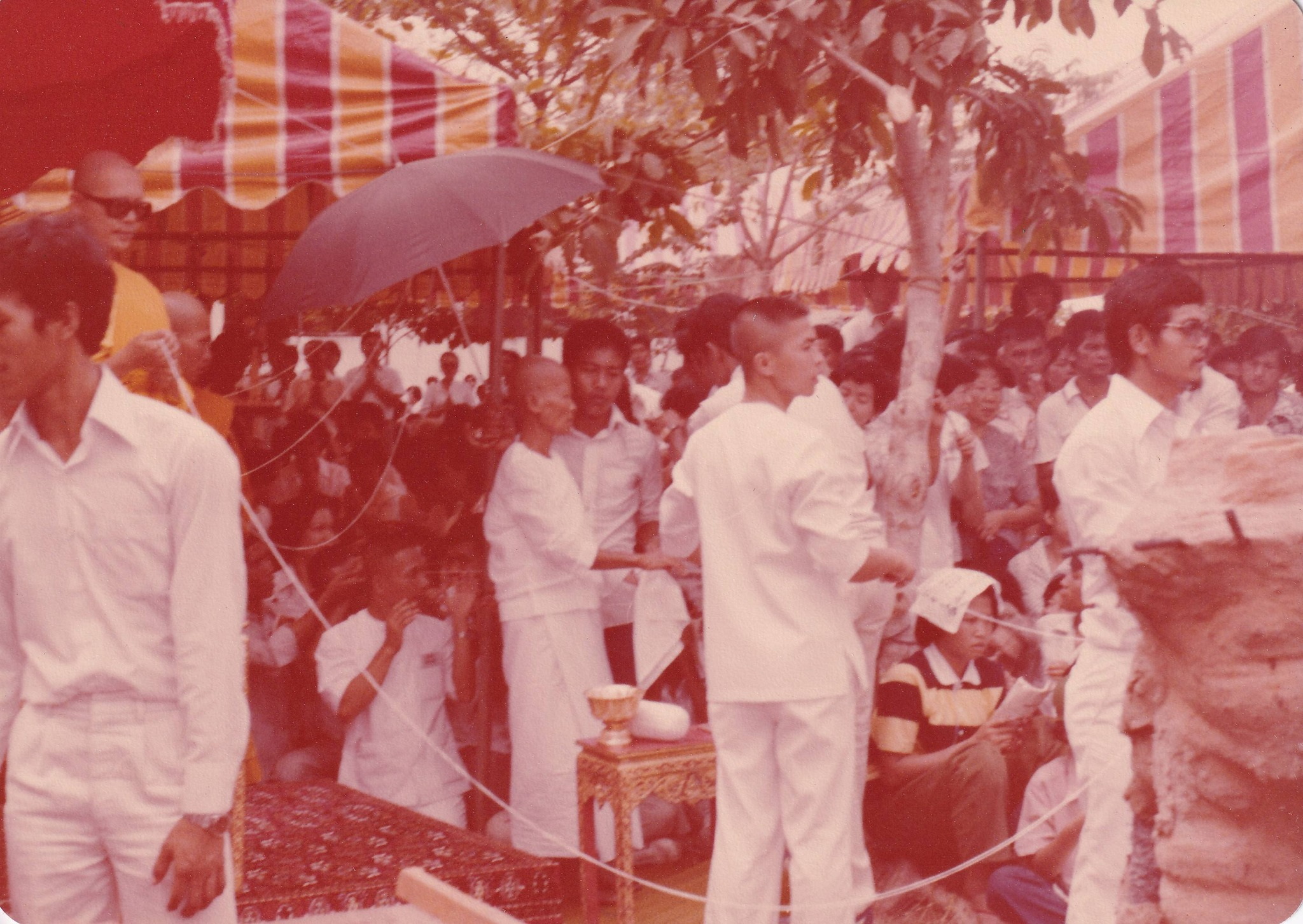 8-4-69--1-b-05.JPG