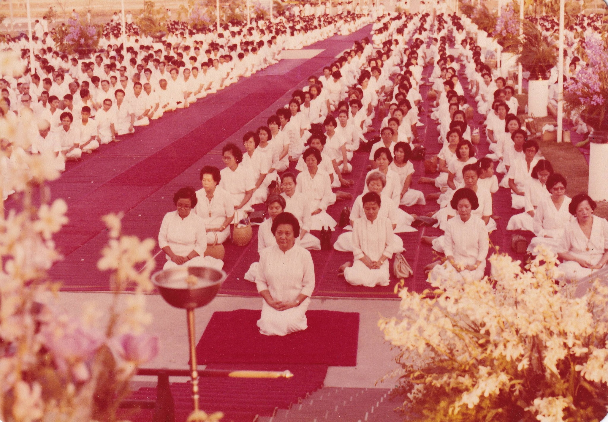 8-4-69--2-b-03.JPG