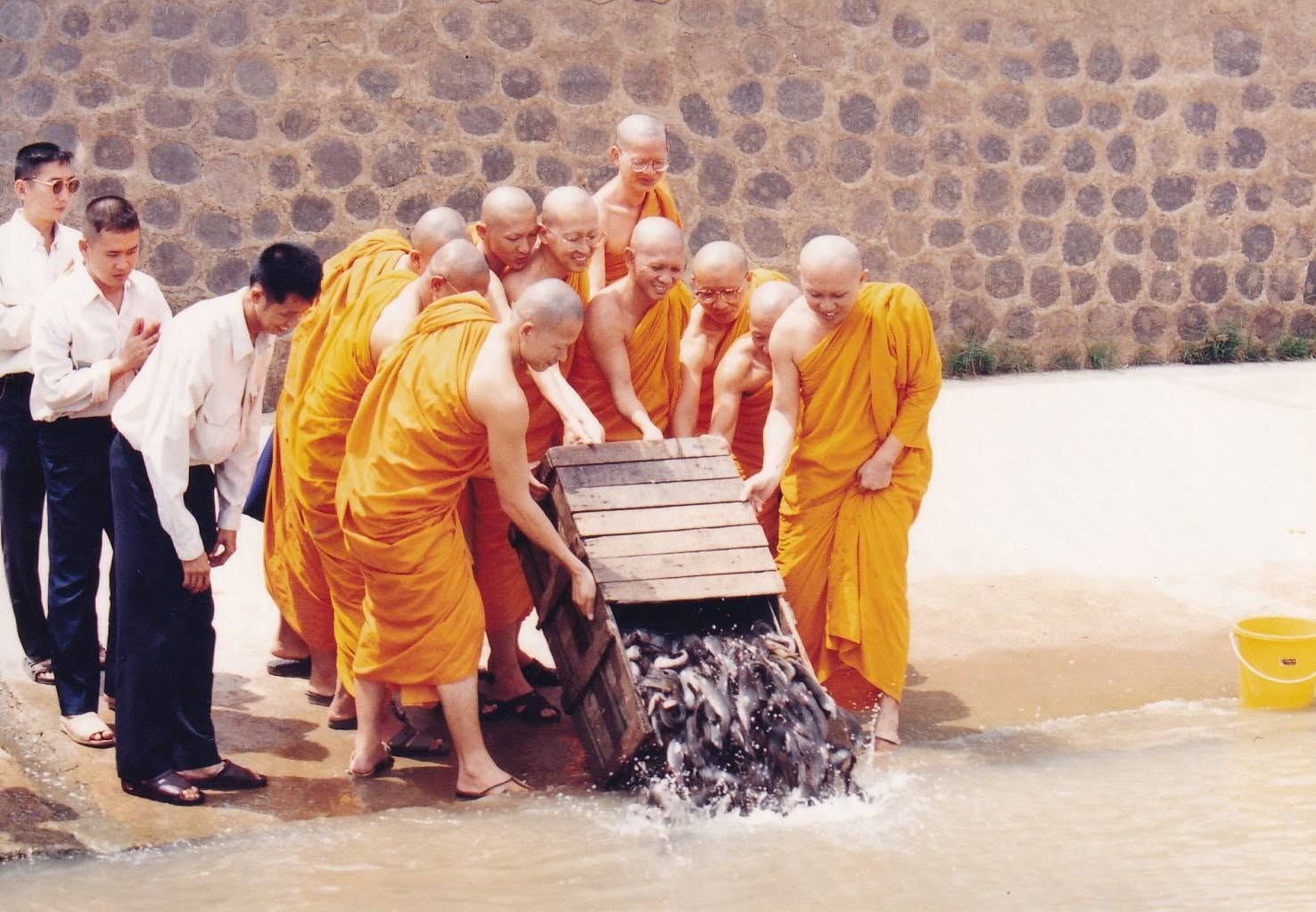 17-6-69--1-b-04.JPG