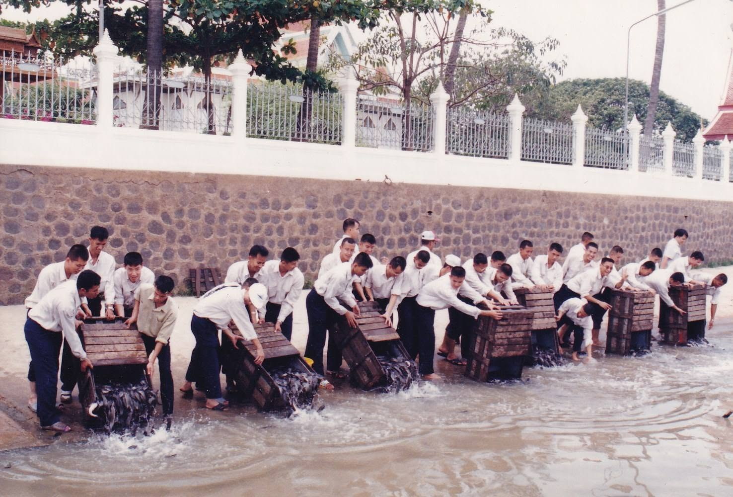 17-6-69--1-b-12.JPG