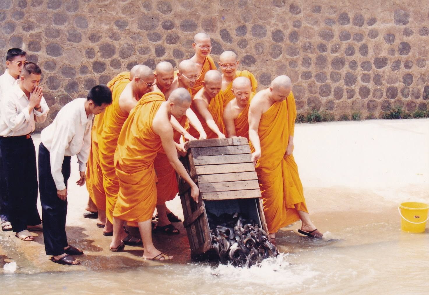 17-6-69--1-b-31.JPG