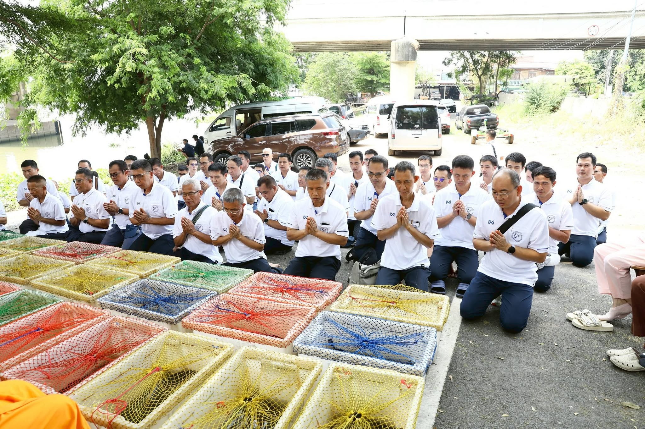 14-7-69--01-b-19.JPG