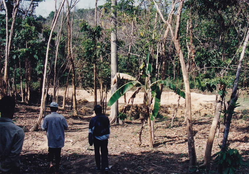 18-9-68--b-006.JPG