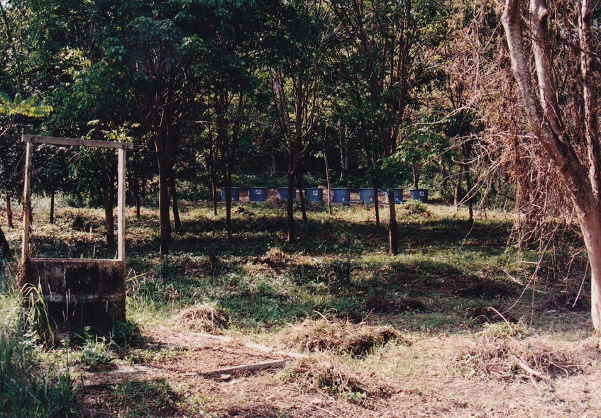 18-9-68--b-020.JPG