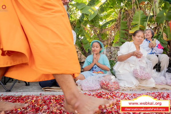19-1-69--1-b-76.JPG