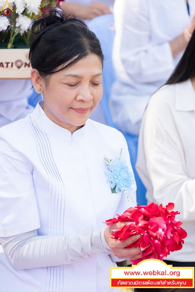 25-1-69--1-b-126.JPG