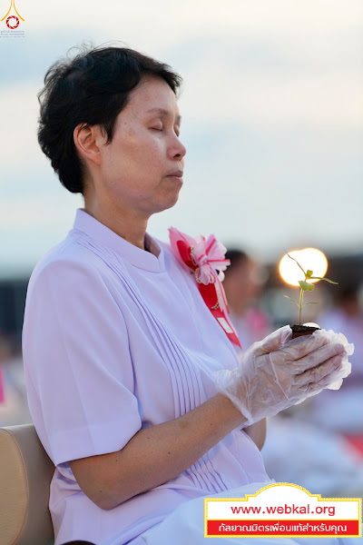 14-10-69--02-b-226.JPG