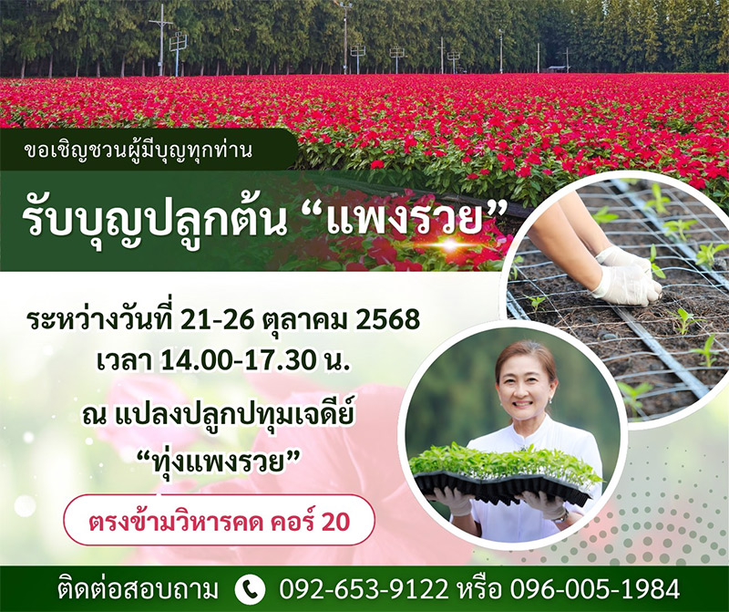 ขอเชิญชวนรับบุญปลูกต้น "แพงรวย" ระหว่างวันที่ 21-26 ตุลาคม พ.ศ. 2568 ณ แปลงปลูกปทุมเจดีย์