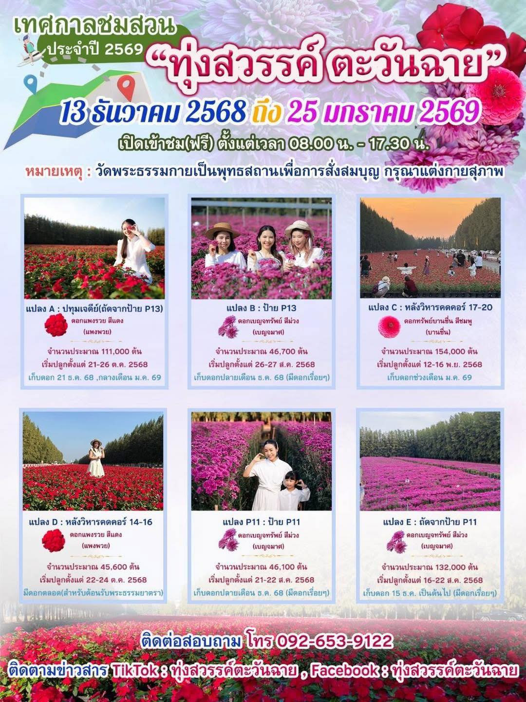 เทศกาลชมสวนดอกไม้ประจำปี ”ทุ่งสวรรค์ ตะวันฉาย“