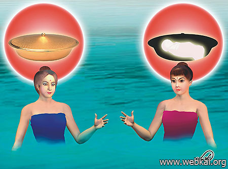 เรื่องจากพระไตรปิฎก